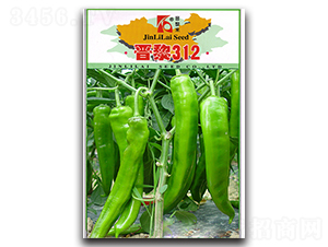 �x��312-�����N��-�x���