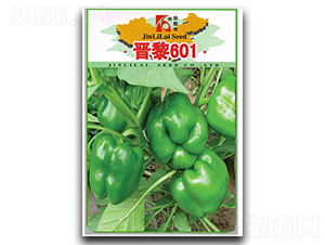 �x��601-�����N��-�x���