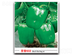 �x��602-�����N��-�x���