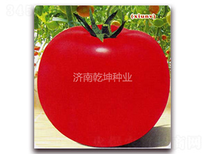 ��Ů-���ѷN��-Ǭ���N�I(y��)