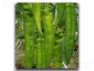 Ǭ�а�̖-�����N��-Ǭ���N�I(y��)