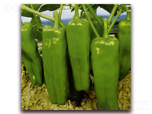 ����-�����N��-Ǭ���N�I(y��)