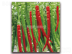 �ѻ�-�����N��-Ǭ���N�I(y��)