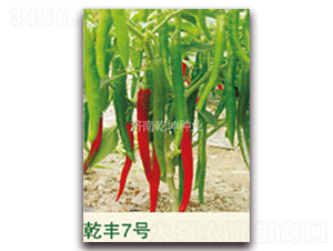 Ǭ�S7̖-�����N��-Ǭ���N�I(y��)