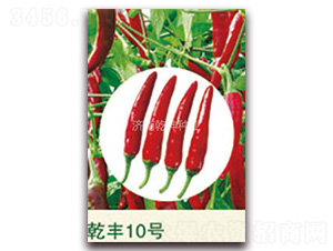 Ǭ�S10̖-�����N��-Ǭ���N�I(y��)