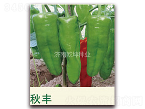 ���S-�����N��-Ǭ���N�I(y��)