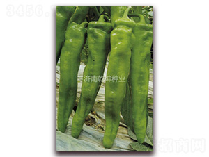 ����-�����N��-Ǭ���N�I(y��)