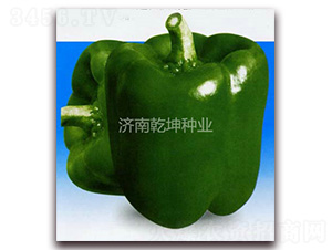 ������-�𽷷N��-Ǭ���N�I(y��)