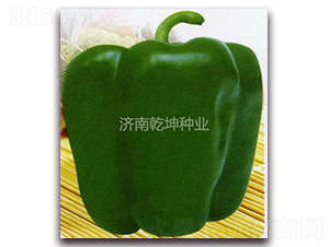 ��d��̖-�𽷷N��-Ǭ���N�I(y��)