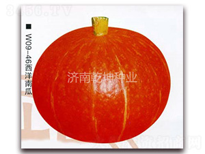 �t��-�ϹϷN��-Ǭ���N�I(y��)