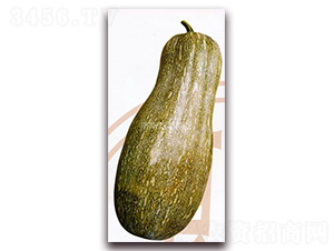 Ǭ�������۱�-�ϹϷN��-Ǭ���N�I(y��)