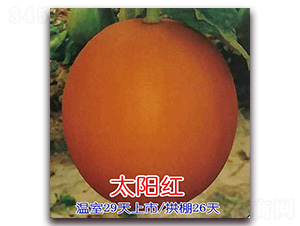 ̫ꖼt-��ϷN��-Ǭ���N�I(y��)