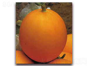 ��������ɯ��-��ϷN��-Ǭ���N�I(y��)