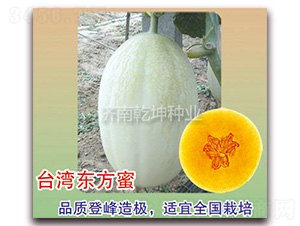 �_(t��i)���|����-���ܹϷN��-Ǭ���N�I(y��)