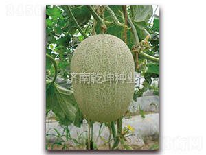 ���-���ܹϷN��-Ǭ���N�I(y��)