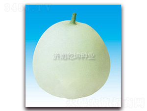 ��ѩ��-��ϷN��-Ǭ���N�I(y��)