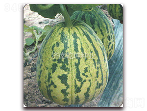 ����-��ϷN��-Ǭ���N�I(y��)