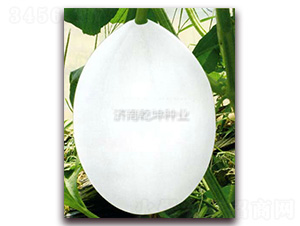 Ǭ������-��ϷN��-Ǭ���N�I(y��)