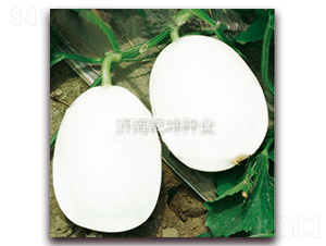 ����-��ϷN��-Ǭ���N�I(y��)