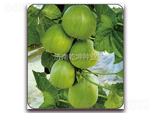 �G��ʯ-��ϷN��-Ǭ���N�I(y��)