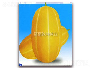 ���-��ϷN��-Ǭ���N�I(y��)