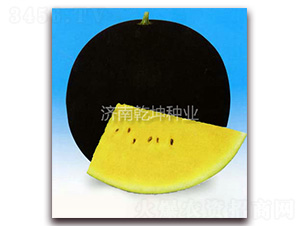 ����-���ϷN��-Ǭ���N�I(y��)