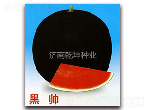 �ڎ�-���ϷN��-Ǭ���N�I(y��)