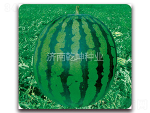 �����e����-���ϷN��-Ǭ���N�I(y��)