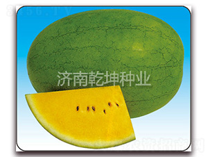 ����-���ϷN��-Ǭ���N�I(y��)