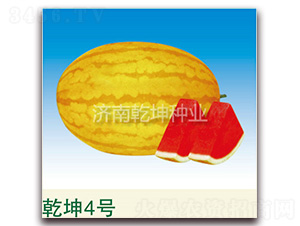 Ǭ��4̖(h��o)-���ϷN��-Ǭ���N�I(y��)