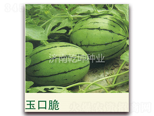 ��ڴ�-���ϷN��-Ǭ���N�I(y��)