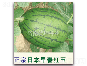 �����ձ��紺�t��-���ϷN��-Ǭ���N�I(y��)