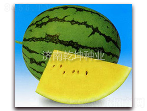 �F��-���ϷN��-Ǭ���N�I(y��)