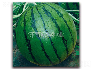 ���x�P��-���ϷN��-Ǭ���N�I(y��)