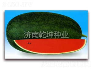 ���x������-���ϷN��-Ǭ���N�I(y��)