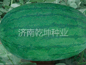 ������-���ϷN��-Ǭ���N�I(y��)