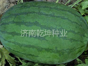 �ش�߿������L(f��ng)-���ϷN��-Ǭ���N�I(y��)