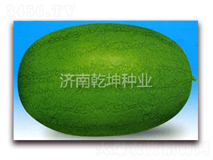 Ԫ��-���ϷN��-Ǭ���N�I(y��)