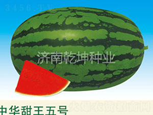 ���A������̖(h��o)-���ϷN��-Ǭ���N�I(y��)