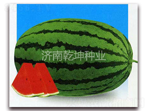 �����Нh688-���ϷN��-Ǭ���N�I(y��)