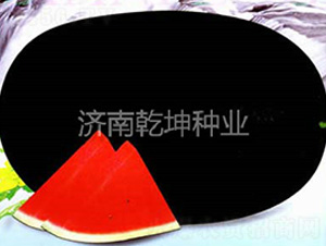 �����L(f��ng)-���ϷN��-Ǭ���N�I(y��)