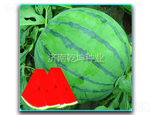 ���x866-���ϷN��-Ǭ���N�I(y��)