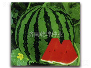 ��(y��u)�x8424-���ϷN��-Ǭ���N�I(y��)