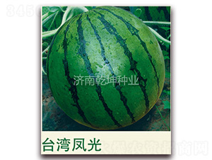 ���x�_(t��i)���L(f��ng)��-���ϷN��-Ǭ���N�I(y��)