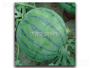 �OƷ������-���ϷN��-Ǭ���N�I(y��)