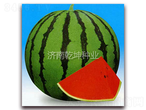 ����һ̖(h��o)-���ϷN��-Ǭ���N�I(y��)