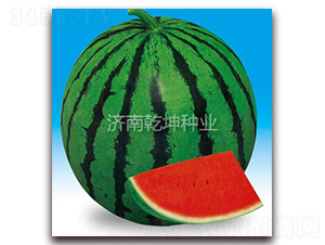 ��������-���ϷN��-Ǭ���N�I(y��)