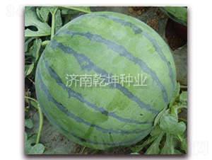 ���x863-���ϷN��-Ǭ���N�I(y��)