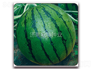 һƷ����-���ϷN��-Ǭ���N�I(y��)