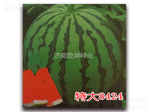 �ش�8424-���ϷN��-Ǭ���N�I(y��)